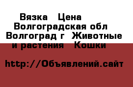Вязка › Цена ­ 800 - Волгоградская обл., Волгоград г. Животные и растения » Кошки   